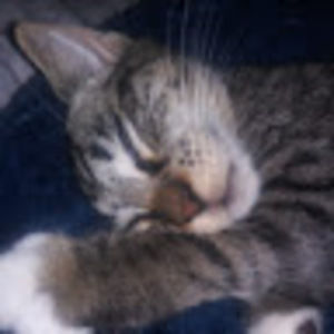 Meet your Posher, Beth